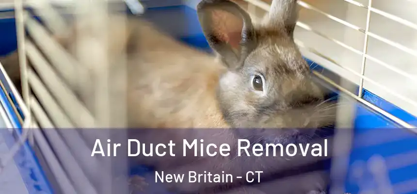 Air Duct Mice Removal New Britain - CT