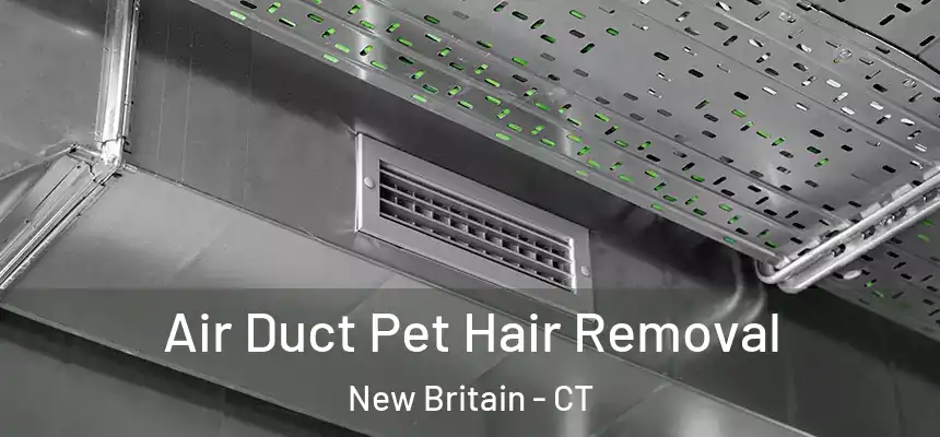 Air Duct Pet Hair Removal New Britain - CT