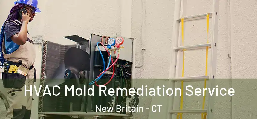HVAC Mold Remediation Service New Britain - CT