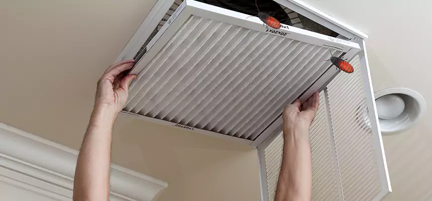 Preventive Cockroach-Proofing for Ducts in New Britain