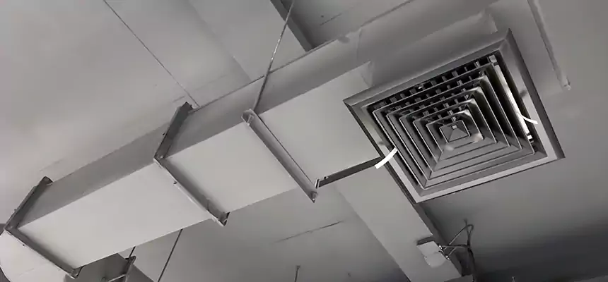 Our Pest Removal From Ducts Services in New Britain, CT