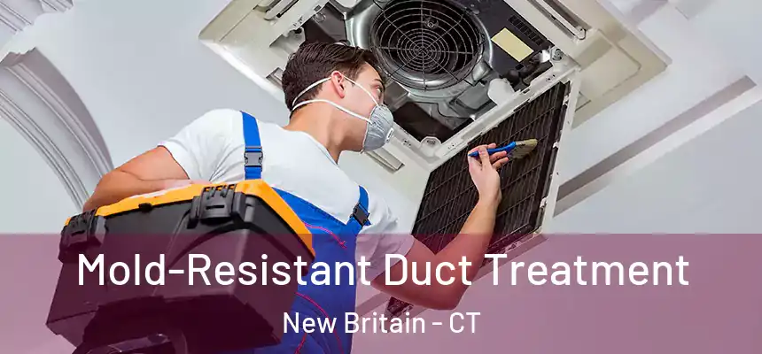  Mold-Resistant Duct Treatment New Britain - CT