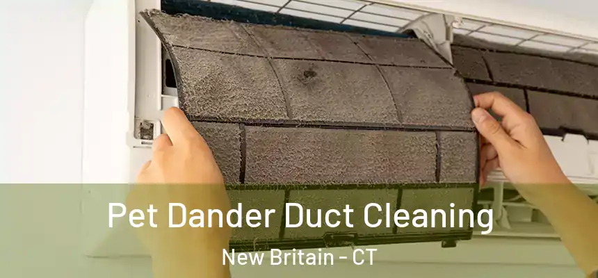 Pet Dander Duct Cleaning New Britain - CT