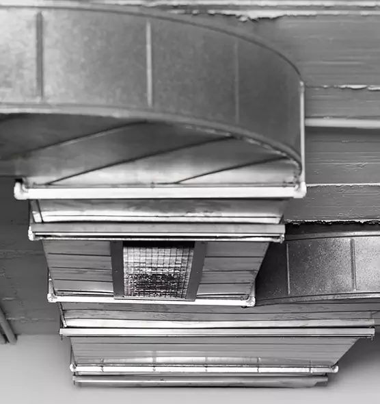 Professional Air Duct Pest Removal in New Britain, CT